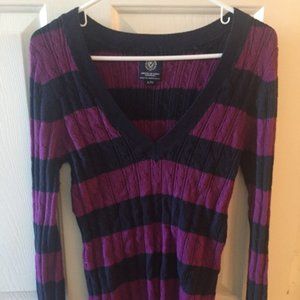 American Eagle V-Neck Striped Sweater Puple/Navy
